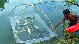 Amazing Monsters Catch Fish How to Catch Fish With Bamboo & Net Fish Trap By Using Bamboo With Net