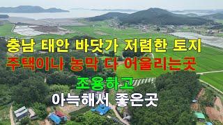 [매물1297]충남태안 바닷가마을,조용하고 아늑한 분위기가 나는 아주 저렴한 토지 급매물,주택용으나 농막용 다 어울리는곳[서산태안 부동산 중개전문 태안사랑 현대공인중개사무소]