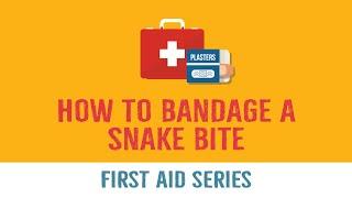 How to Bandage a Snake Bite