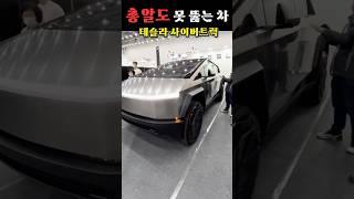 실물 보고 할말을 잃었습니다.. 압도적 비주얼 테슬라 사이버트럭