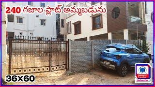 240 Sq.yds Plot For Sale in Hyderabad || LRS Paid || Open Plot For Sale || Padmasree Properties