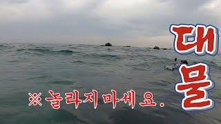 리얼대물!! 수경만한 전복이 바닥에 깔렸다! 50 이 넘는 감성돔이 막 돌아치는곳!!/ Let's go to the sea to catch a huge abalone.