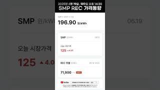 SMP/REC 금일 시장동향 2025.06.19. 목요일 #SMP #REC #전력거래 #한전 #시장동향 #태양광 #현물시장 #REC매매 #RE100 #신재생에너지