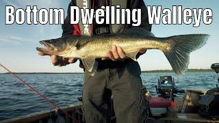 Using Your Traditional Fish Finder For Bottom Dwelling Walleye | Fish'n Canada