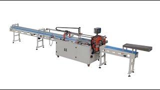 Semi automatic 10 rolls toilet paper bundle packing machine for Kenya