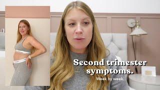 SECOND TRIMESTER DIARIES | PREGNANCY WEEKS 13 - 27 | THIRD BABY