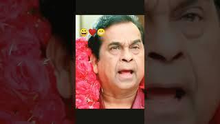 Brahmanandam Ultimate Comedy Scene | Alludu Seenu | Non-Stop Laugh Riot