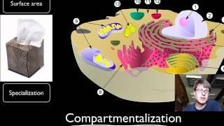 Compartmentalization