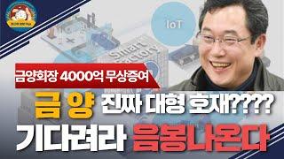 금양 진짜 대형호재?? 금양회장 4000억 무상증여 기다려라 음봉나온다