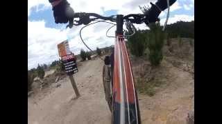 New mountain bike trails in Rotorua Forest after logging