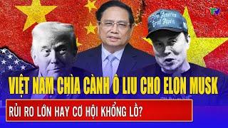 Chuyên gia: Việt Nam “chìa cành ô liu” cho Elon Musk, rủi ro lớn hay cơ hội khổng lồ?