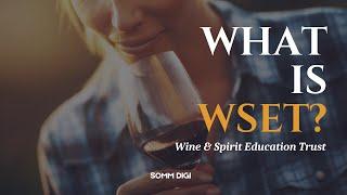 What is WSET ? Wine and Spirit Education Trust. Basic explanation about WSET #wine #wset