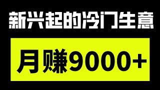 新手网赚，分享网上赚钱项目！一个刚兴起的冷门赚钱项目，月赚9000+，内附赚钱渠道，新手小白轻松可上手！