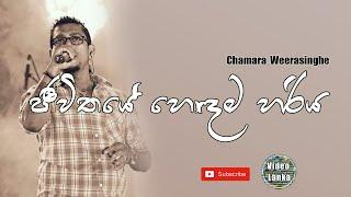 Jeewithaye Hodama Hariya | ජීවිතයේ හොඳම හරිය | Sinhala Songs | Chamara Weerasinghe