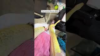 Были на выставке? Как впечатления? #рептилиум #рекомендации #reptilium