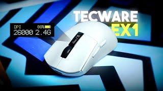 OLED Display in a Gaming Mouse?  - Tecware EX1 Review