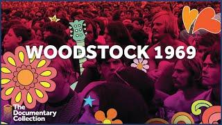 The Documentary Collection: Woodstock's Enduring Impact