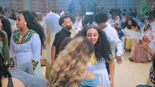 Eritrea Wedding Gayla music Wedi Ali 2025 best wedding