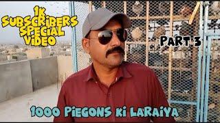 1000 Piegons Ki laraiya | 500 Salam Ustaad Ky | 500 Naeem Ustaad Ky | | Part 3 | | 1k Special |