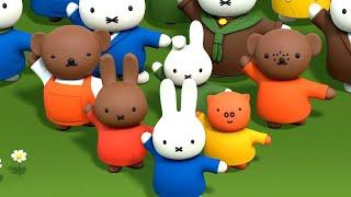 Miffy Leads The Dance! | Miffy | Cartoons For Children