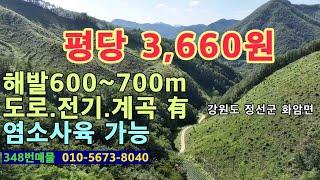 (348번 매물)임야 평당 3,660원.도로 접.전기 있음.계곡 접. 해발600~700m 위치.산약초재배 및 산나물 재배 가능.염소사육 법적으로 가능.자연힐링지.청정지역.대형임야