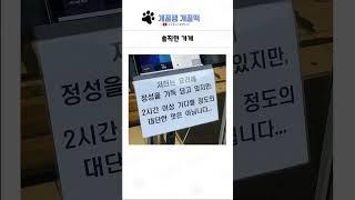 웃긴 상황들 모음 289탄 ㅋㅋㅋㅋ