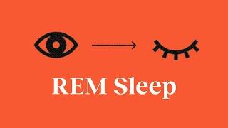 Why REM sleep is your brain's superpower—and 3 ways to trigger more of it | Patrick McNamara