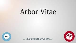 Arbor Vitae   Anatomy of the Brain   SeeHearSayLearn 