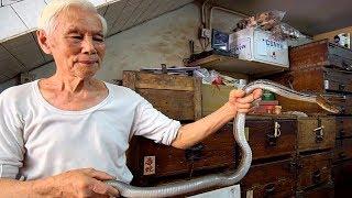 Hong Kong's BEST Street Food Guide!! SNAKE SOUP + 100 Year Old Street Food in HONG KONG (POISONOUS!)