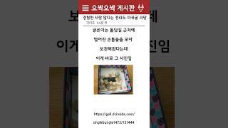 [디씨 괴담] 마귀굴에 대해 아시나요? #공포 #소름 #괴담 #귀신 #무서운이야기 #미스테리
