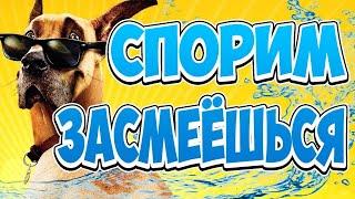 Очень смешные испуги людей!!! ПОДБОРКА. Приколы над людьми.