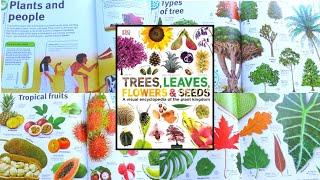 Trees, Leaves, Flowers and Seeds: A Visual Encyclopedia of the Plant Kingdom by DK