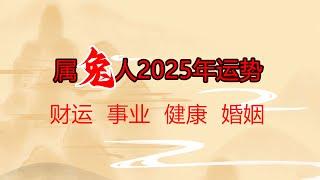 属兔人2025年运势分析 财运 事业 健康 婚姻 #运势 #生肖兔 #2025年