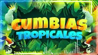 CUMBIAS TROPICALES MIX VIEJITAS TROPICALESACAPULCO TROPICAL, TROPICAL FLORIDA, LOS KARKIS...