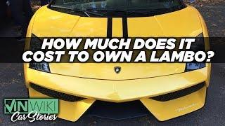 How much does it ACTUALLY cost to own an exotic car?