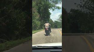 Snake Targets Motorcyclist || ViralHog