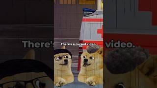 doge watches a cursed video