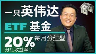 如何通过YNVD ETF 在加拿大投资英伟达，每月赚取被动收入 | 英伟达AI投资指南｜财富种植园