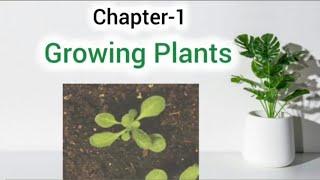 Science Topic - Growing Plants || CBSE  Grade 5th || Kidos Edu Point