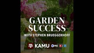 Garden Success – 11/14/2024: Q&A With Stephen Brueggerhoff