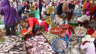 Fish Distribution Site @ Kilo.9 - Cambodian Fish Market