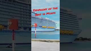 Symphony of the seas  #travel #shorts #cruise #travelbusinessowner