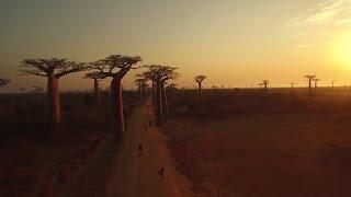 DJI - Madagascar by Roie Galitz