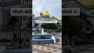 Crazy Things in Brunei 