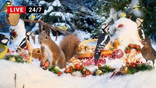 24/7 LIVE Christmas CAT TV NO ADS Cutest SQUIRRELS and BIRDS at Winter Wonderland Snow Party