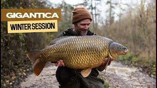 Gigantica Winter Session | Extract