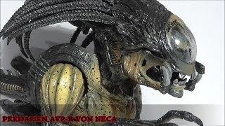 Neca Predalien AVP-R (German)