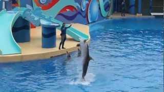 Ocean Park Hong Kong 香港海洋公園 6分半鐘 MV