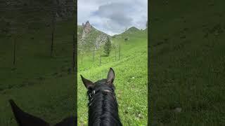 nature ASMR #horse #farming #equestrian #animals #cowboys #agriculture #nature #mountains