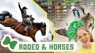 RODEO FOR KIDS | Cowboys Riding Bulls, Cowgirls Riding Horses & Kids Riding Sheep